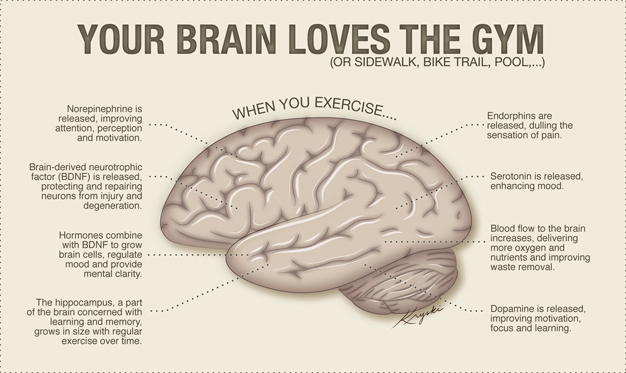 brainbenefits-01-1